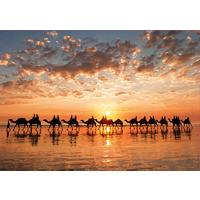 Educa - Golden Sunset on Cable Beach Puzzle 1000pc (DAMAGED BOX)