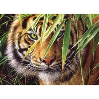 Castorland - Emerald Forest Puzzle 260pc