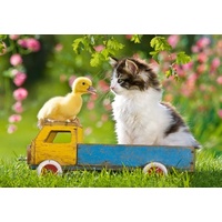 Castorland - Two Passengers Puzzle 120pc