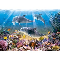 Castorland - Dolphins Underwater Puzzle 500pce
