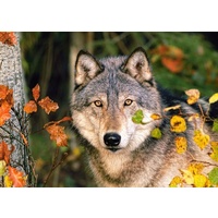 Castorland - Mysterious Eyes Puzzle 500pc