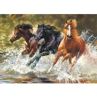 Castorland - Splash Puzzle 500pc