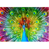 Enjoy - Colourful Peacock Puzzle 1000pc