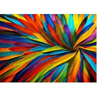 Enjoy - Colourful Feathers Puzzle 1000pc