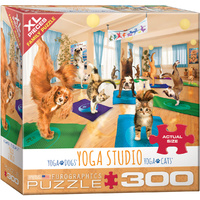 Eurographics - Yoga Studio Large Piece Puzzle 300pc