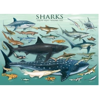 Eurographics - Sharks Puzzle 1000pc