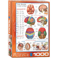 Eurographics - The Brain Puzzle 1000pc