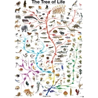 Eurographics - The Tree of Life Puzzle 1000pc