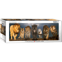 Eurographics - Big Cats Panoramic Puzzle 1000pc