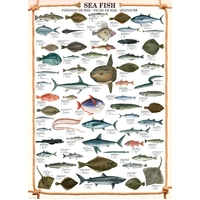 Eurographics - Sea Fish Puzzle 1000pc