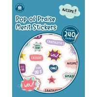 Learning Can Be Fun - Pop of Praise Merit Stickers