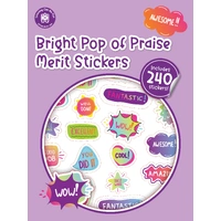 Learning Can Be Fun - Pop of Praise Bright Merit Stickers
