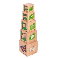 Freckled Frog - Lifecycle Wooden Blocks