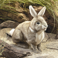 Folkmanis - Cottontail Rabbit Puppet