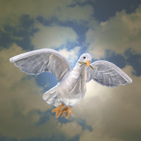 Folkmanis - Dove Puppet