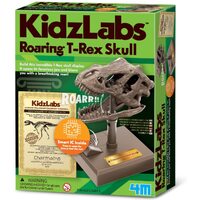 4M - Roaring T-Rex Skull