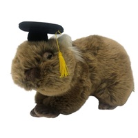 Bocchetta - Tina Wombat with Graduation Hat Plush Toy 26cm