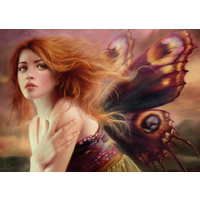 Heye - Delon, Butterfly Wings Puzzle 1000pc