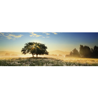 Heye - Von Humboldt, Play of Light Panorama Puzzle 1000pc
