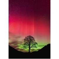 Heye - Power Of Nature, Sycamore Gap Puzzle 1000pc