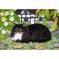 Holdson - Country Cats - On The Garden Wall Puzzle 500pc