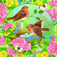 Holdson - Flower Friends Robins & Roses Puzzle 500pc