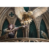 Holdson - Flight of Fantasy - Owl Messenger Puzzle 1000pc