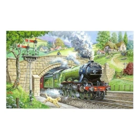 House of Puzzles - Train Spotting Large Piece Puzzle 250pc