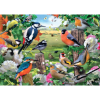 Jumbo - Birds For All Seasons Puzzle 1000pc