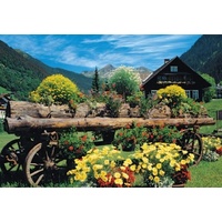 Jumbo - Alpine Flowers Puzzle 1000pc
