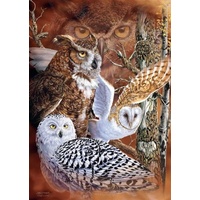 Jumbo - Find the Owls Puzzle 500pc