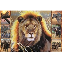 Jumbo - African Beauty Puzzle 1500pc