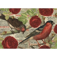 Jumbo - Birds Love Flowers Puzzle 500pc