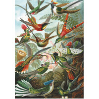 Piatnik - Hummingbirds Puzzle 1000pc