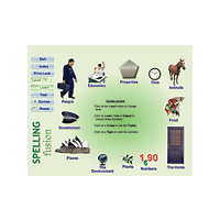 Spelling Fusion 5 User Licence