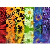 Ravensburger - Floral Reflections Puzzle 500pc