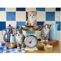 Ravensburger - Kittens in the Kitchen Puzzle 1500pc
