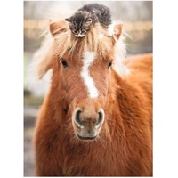 Ravensburger - The Little Rider Puzzle 500pc