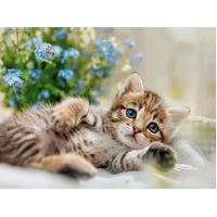 Ravensburger - A Bouquet of Sweetness Puzzle 500pc