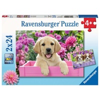Ravensburger - Me and My Pal Puzzle 2x24pc
