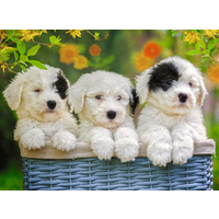 Ravensburger - Cuddly Puppies Puzzle 200pc