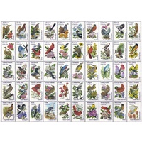 Ravensburger - 50 Bird Stamps Large Format Puzzle 300pc