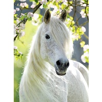 Ravensburger - Equestrian Spring Puzzle 500pc