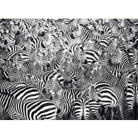 Ravensburger - Zebra Challenge Puzzle 500pc