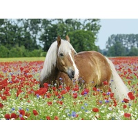 Ravensburger - Horse in the Poppy Field Puzzle 500pc