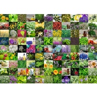Ravensburger - 99 Herbs and Spices Puzzle 1000pc