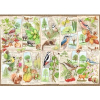 Ravensburger - Wondrous Trees Puzzle 1000pc