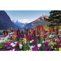 Ravensburger - Mountains of Flowers Puzzle 3000pc