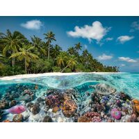 Ravensburger - A Dive in the Maldives Puzzle 2000pc