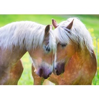 Ravensburger - A Moment Together Puzzle 1000pc